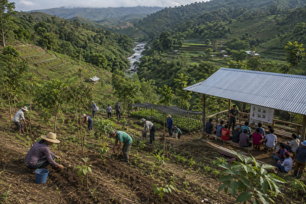 Watershed agriculture program arranged across a regional network site in the Philippines
