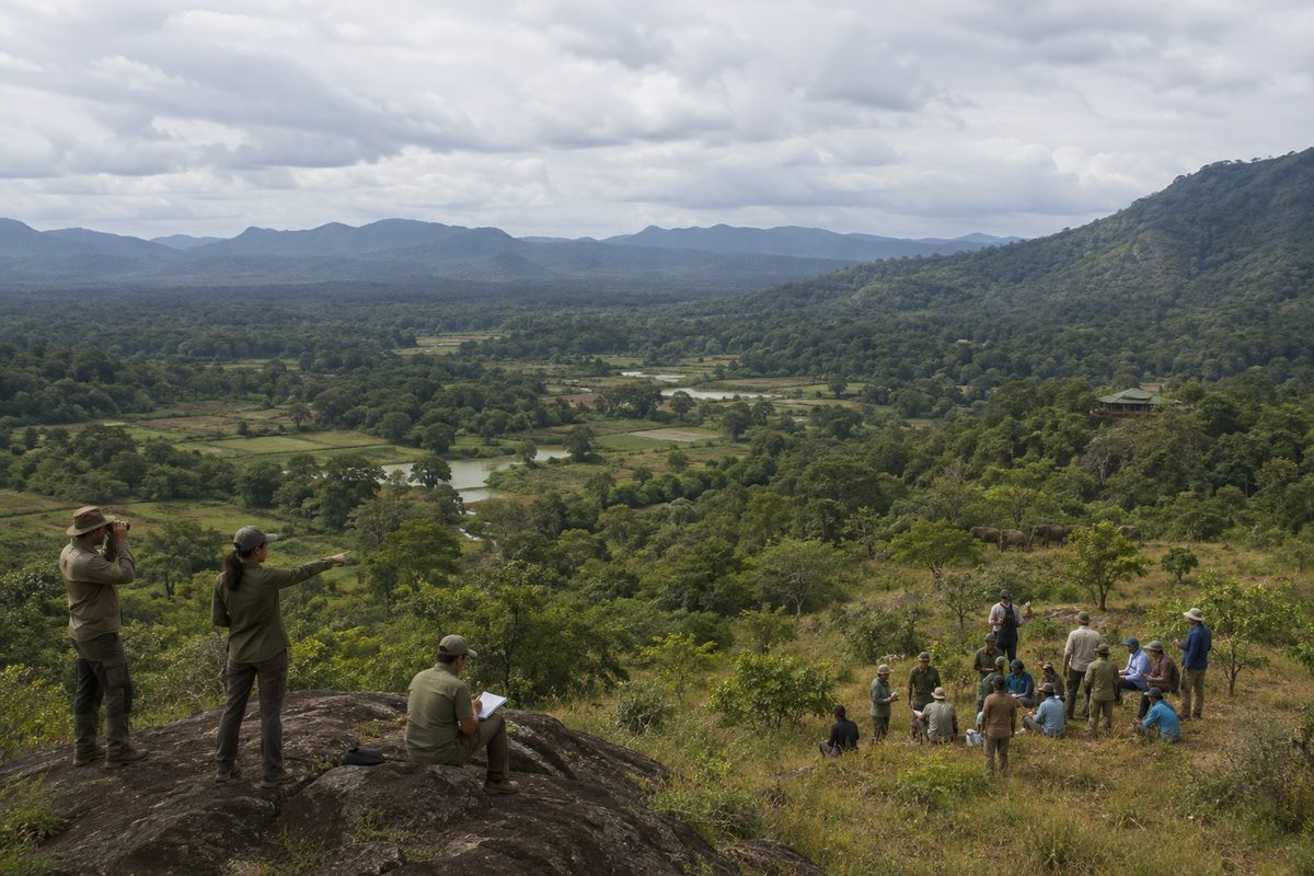 Regional biodiversity corridor shown across multiple structures and public infrastructure